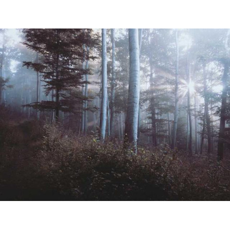 Gorgeous Bronze Bench fr-FR